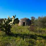 ...strutture in pietra dalla forma di trullo un tempo utilizzate dai contadini